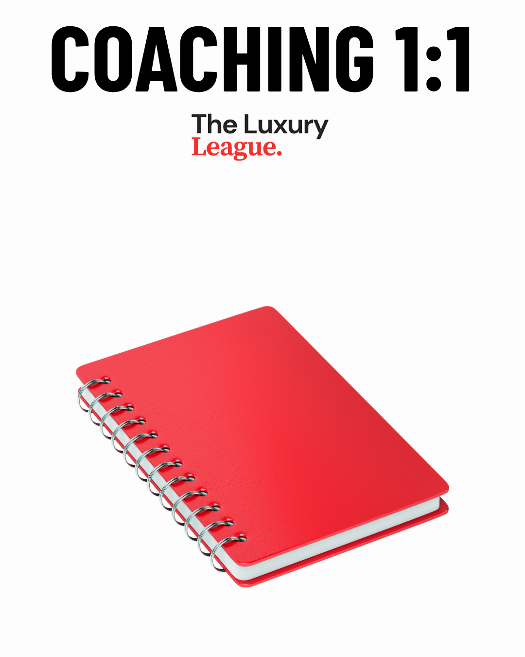 Coaching 1:1
